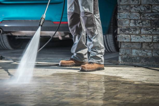 Best Roof Washing  in Rancho Alegre, TX