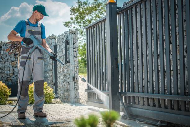 Best Boat and Dock Cleaning  in Rancho Alegre, TX