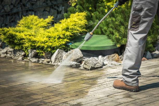  Rancho Alegre, TX Pressure Washing Pros
