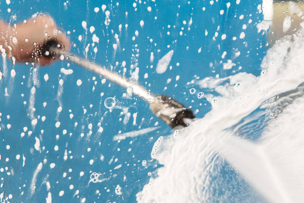 Animal Enclosure Cleaning in Rancho Alegre, TX