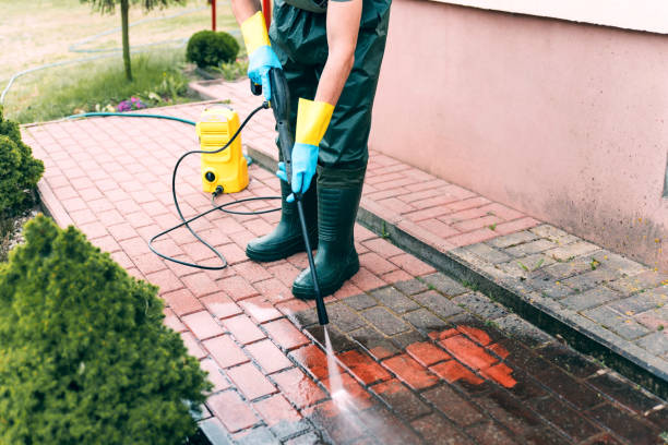 Best Sidewalk and Walkway Cleaning  in Rancho Alegre, TX