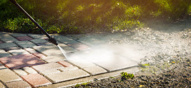 Trusted Rancho Alegre, TX Pressure Washing Services Experts