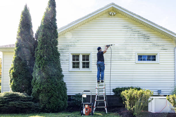 Best Dumpster Area Cleaning  in Rancho Alegre, TX