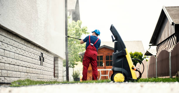 Best Solar Panel Cleaning  in Rancho Alegre, TX